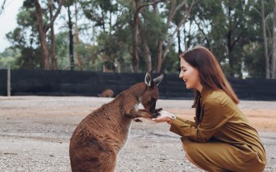 ¿Te gustaría quedarte en Australia? Conoce qué puedes estudiar si tu objetivo es extender tu visa.