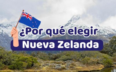 ¿Por qué estudiar en Nueva Zelanda? El destino estrella para latinos